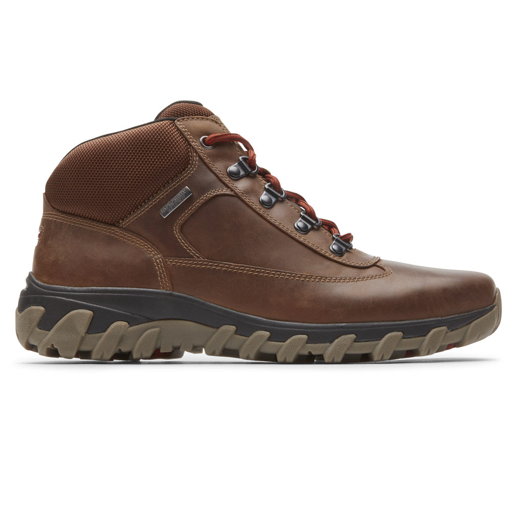 Botas Rockport Homem Marrom - Cold Springs Plus Waterproof Chukka - 25861TSPW